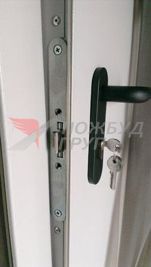 Двері протипожежні ДМП-02 EI60 (EI30) 1250x2350 мм