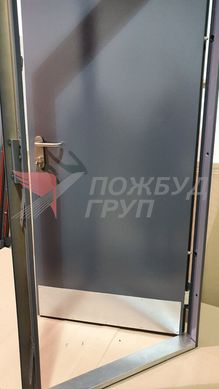 Двері протипожежні ДМП-01 EI60 (EI30) 1200x2100 мм з накладками з нержавіючої сталі